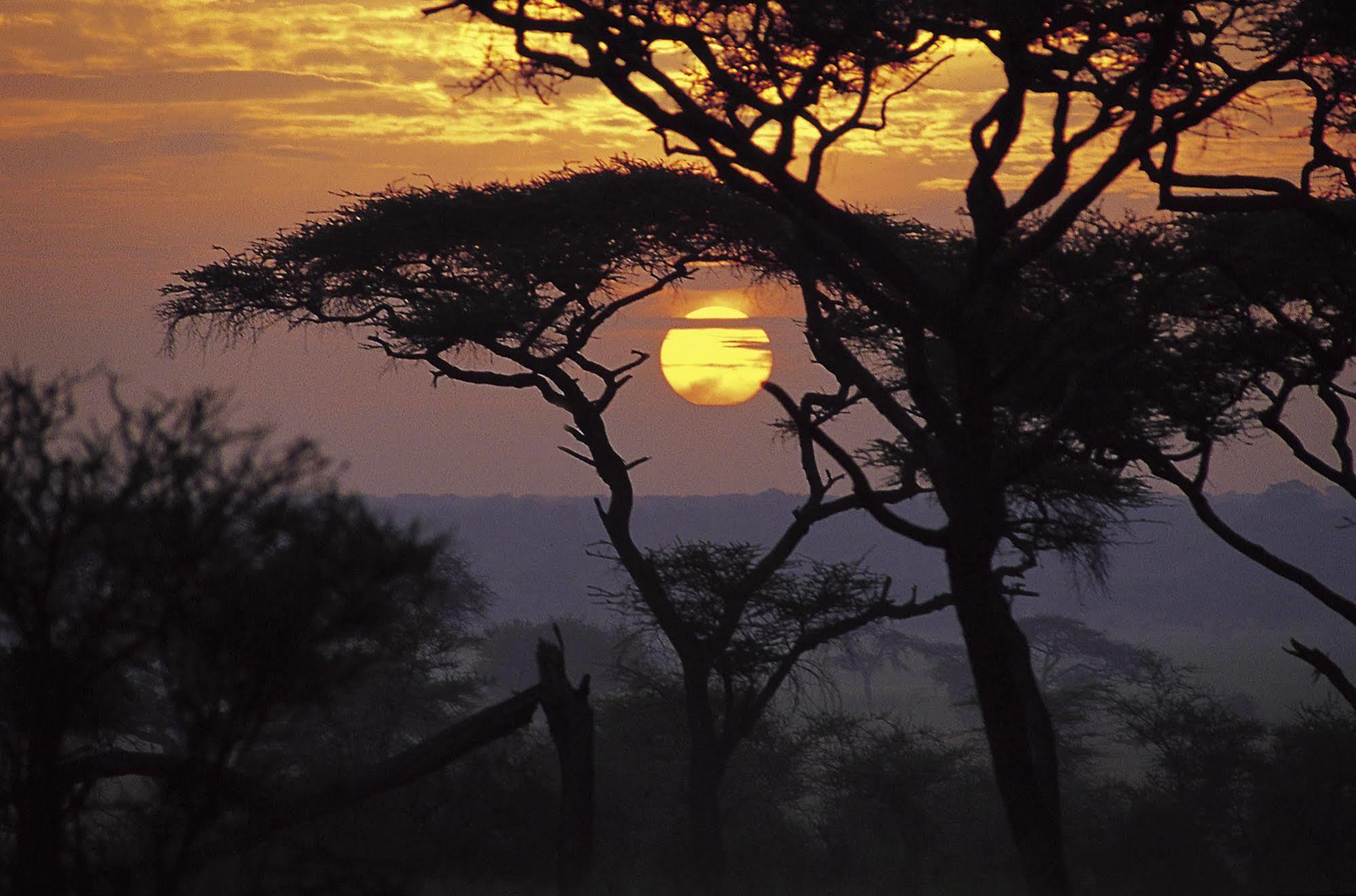 Sanctuary Swala Hotel Babati Exterior foto